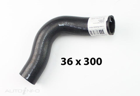 Dayco Radiator Hose Lower Subaru Legacy Out 03-On09 - DMH4875
