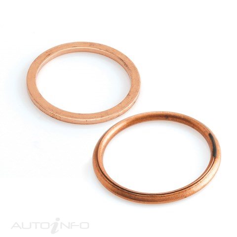 Tridon Sump Plug Washer 2PK - TSW016