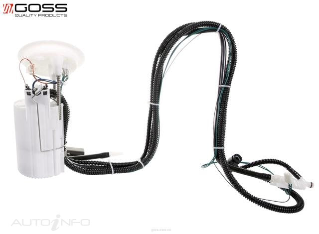 Goss EFI Pump Bmw 5SER 6SER 03-On - GE352