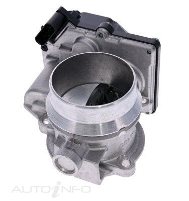 PAT Throttle Bodies - TBO-198
