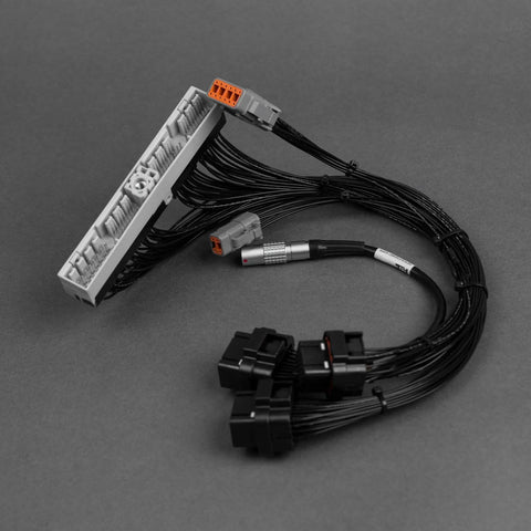 Emtron Patch Harness to KV Series ECU (Skyline R32 R33 89-98) — fits Nissan Skyline R32
