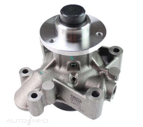 Dayco Water Pump HD Mitsubishi Fuso Canter 11-On - DP2185