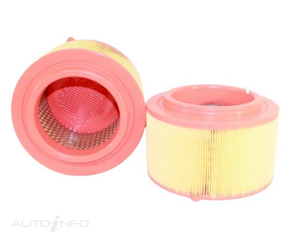 Wesfil Air Filter Ford Ranger Mazda - WA5251