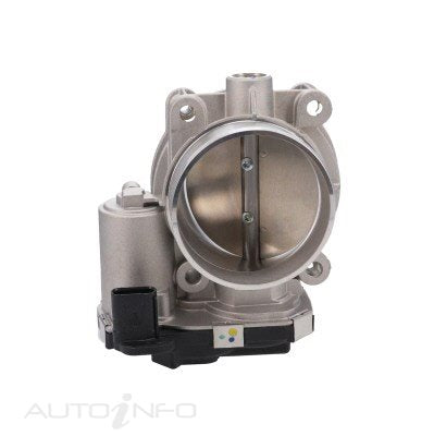 PAT Throttle Bodies - TBO-123M