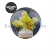 Crystal Transparent Flower Gear Shift Knob  Manual Shifter