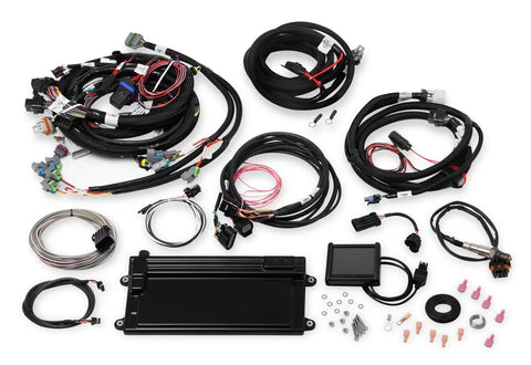 Holley EFI Terminator LS MPFI Kit