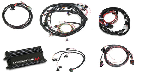 Holley EFI Dominator EFI Kit - LS2 Main Harness w/ Trans and DBW with EV1 Injector Harness