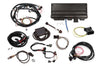 Holley EFI Terminator X Max - Universal MPFI Kit (image 2)