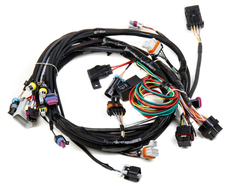 Holley EFI 558-102 LS1/6 24x/1x Engine Main Harness LS1/6