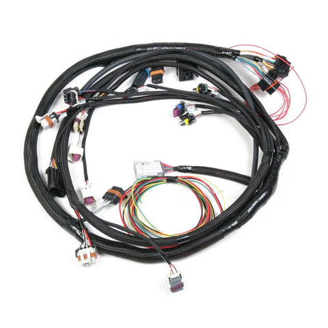 Holley EFI LS2/3/7+ 58x/4x Engine Main Harness LS2/3/7+ 58x/4x Engine Main Harness for HP EFI & Dominator EFI