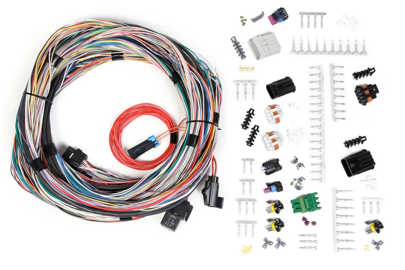 Holley EFI 558-105 Unterminated Universal Main Harness