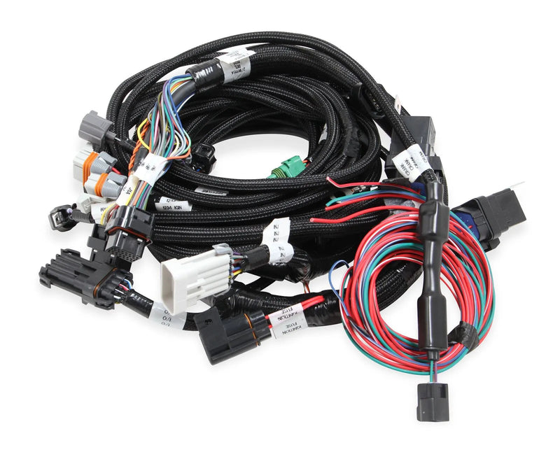 Holley EFI 558-113 Ford Modular 2V & 4V Main Harness for