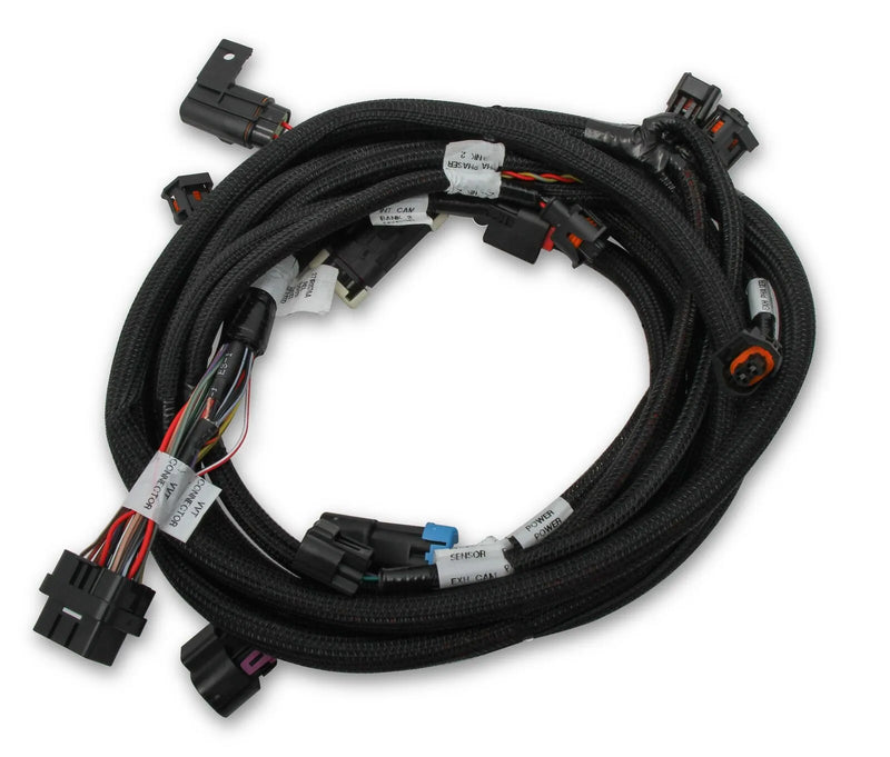 Holley EFI 558-125 Ford Coyote Ti-VCT Sub Harness