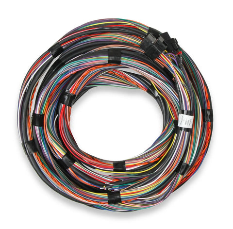 Holley EFI Unterminated 15' Flying Lead Main Harness Pre-Terminated J1A / J1B 15' Flying Lead Main Harness