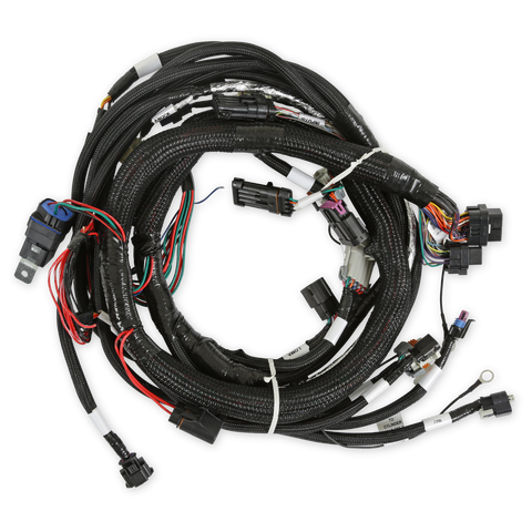 Holley EFI Gen V LT Engine Main Harness For use with Terminator X