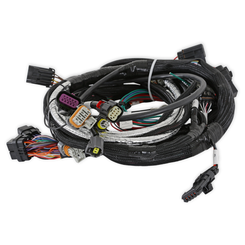 Holley EFI LT4 Engine Main Harness For use with Terminator X - Requires V3 Software