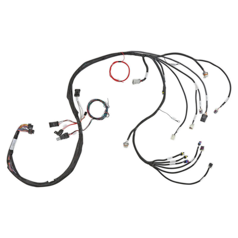Holley EFI LS2/3/7+ 58x/4x Engine Main Harness Extended Length LS2/3/7+ 58x/4x Engine Main Harness for HP EFI & Dominator EFI