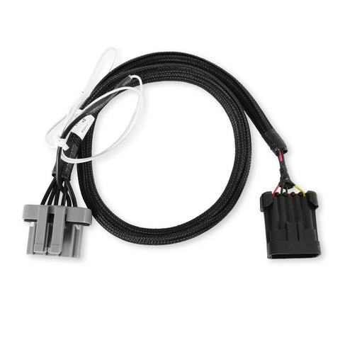 Holley EFI Ford TFI Ignition Harness Ford TFI Ignition Harness for Avenger EFI, HP EFI & Dominator EFI