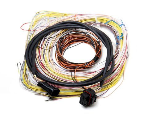 Holley EFI Dominator EFI Auxiliary Harness Dominator EFI Connector J2A Auxiliary Harness