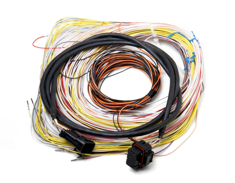 Holley EFI Dominator EFI Auxiliary Harness Dominator EFI Connector J2A Auxiliary Harness