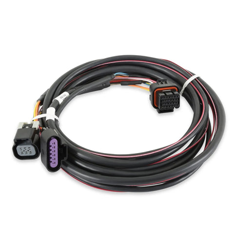 Holley EFI GM Drive-By-Wire Harness Terminator X MAX and Dominator EFI GM Drive-By-Wire Harness