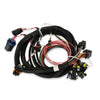 Holley EFI 558-414 Terminator Main Harness Replacement