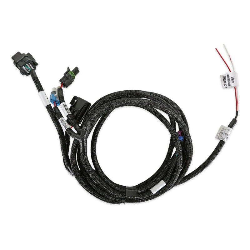Holley EFI Transmission Harness - T-56 Terminator X Max ECUs on V3 Build 100 or later - V6 Build 300 or later