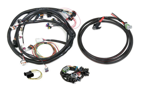 Holley EFI Universal Ford V-8 Harness Kit Universal Ford V8, Bosch Injector
