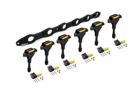 Haltech R35 Coil Bracket Kit - Includes Bracket, Coils and Connectors — fits Nissan Skyline R32 Gts