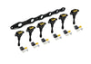 Haltech R35 Coil Bracket Kit for Nissan RB Includes