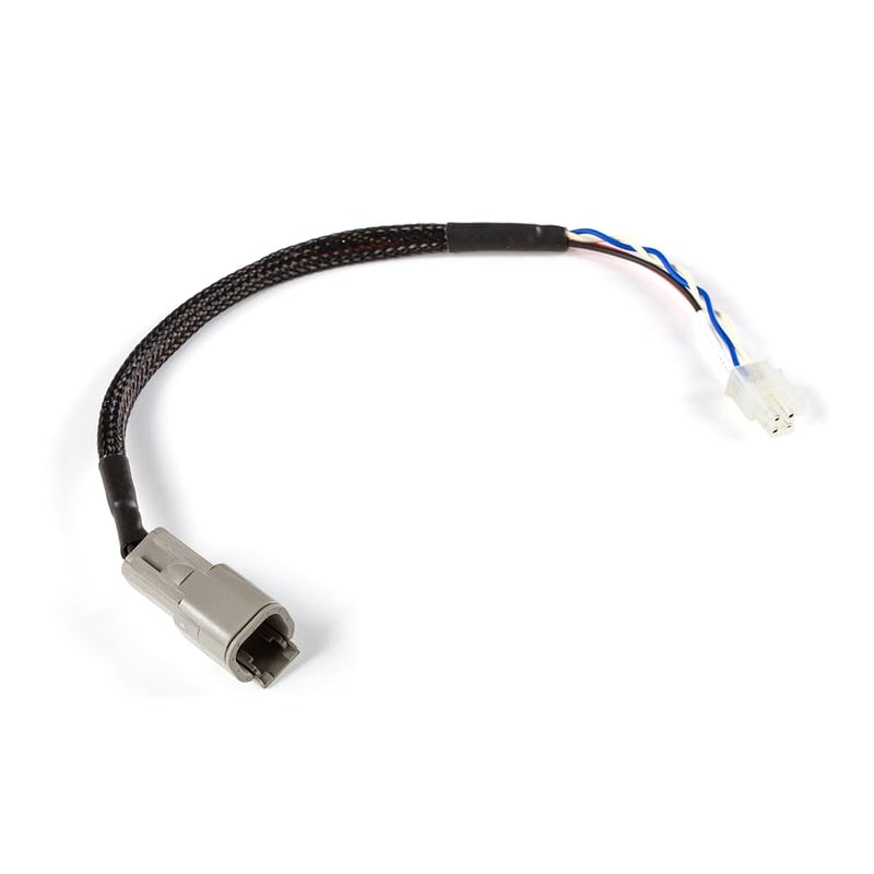 Haltech CAN Adaptor Loom (DTM-4 to Minifit Jr) - Suits