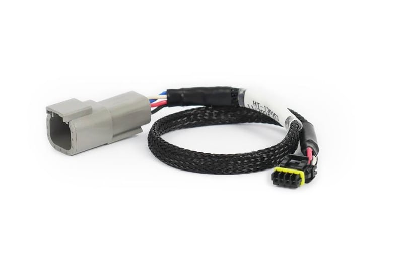 Haltech CAN Adaptor Loom DTM-4 to Molex Mizu-P25 - Suits
