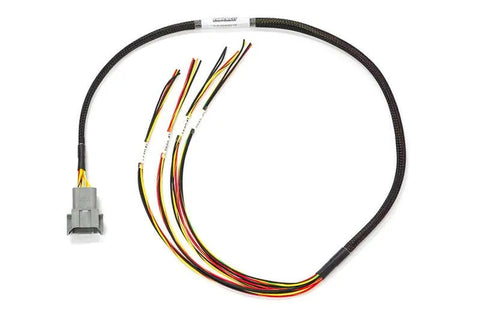 Haltech Elite 1000/1500 Maz13B Flying Lead Ignition Harness