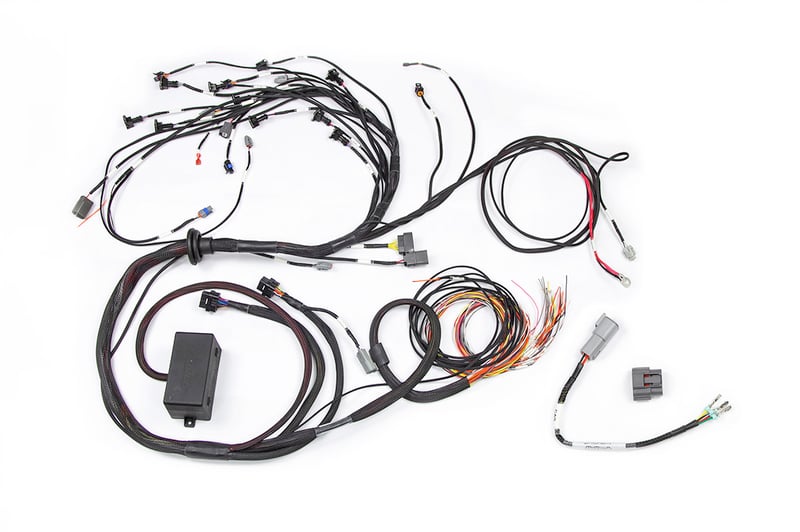 Haltech RB Twin CAM Main Harness, CAS Breakout, No