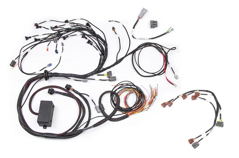 Haltech RB Twin CAM Main Harness, CAS Breakout, Early