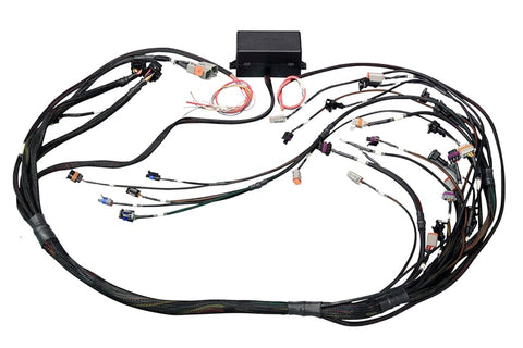 Haltech Elite 2500 Ford Falcon FG Barra 4.0 Terminated
