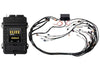Haltech Elite 2500 + GM GEN IV LSx (LS2/LS3 etc) DBW