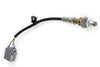 Haltech WB1 NTK - Single Channel CAN O2 Wideband