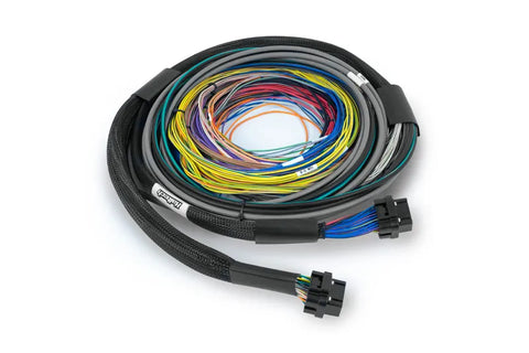 Haltech Nexus S3/S2 Universal Wire-In Harness - 2.5M - 8'