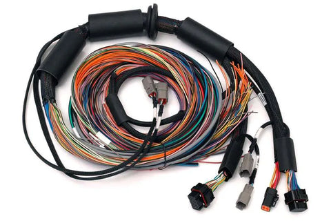 Haltech Nexus R3 Universal Wire-in Harness - 2.5m 8' Length: 2.5M