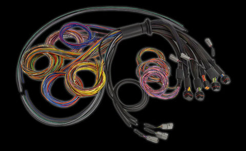 Haltech NEXUS R5 Basic Universal Wire-In harness