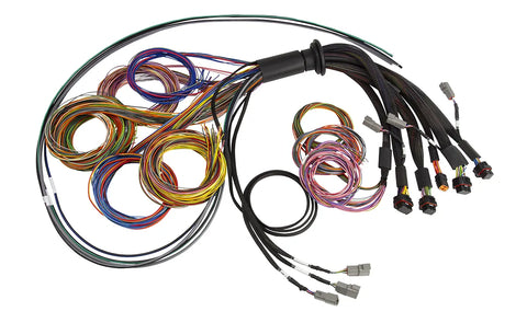 Haltech NEXUS R5 Basic Universal Wire-In Harness 5 Metre Length