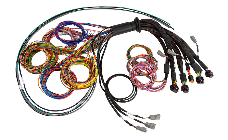 Haltech Nexus R5 Universal Wire-In harness- 5M (16')