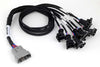 Haltech Nexus Universal V8 - Junior Timer (EV1) Injector