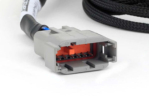Haltech Nexus Universal V8 - Junior Timer (EV1) Injector