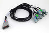 Haltech Nexus V8 GT150 (Uscar) Injector Primary Breakout