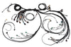 Haltech Nexus R5 LSx DBW Terminated Harness HT-186205