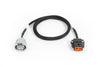 Haltech HT-187005 Nexus Rebel - Transmission Harness