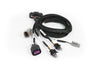 Haltech Nexus Plug-in IO Expansion Harness 2.5m (8 feet)