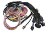 Haltech Nexus R5 + Universal Wire-in Harness Kit - 5M